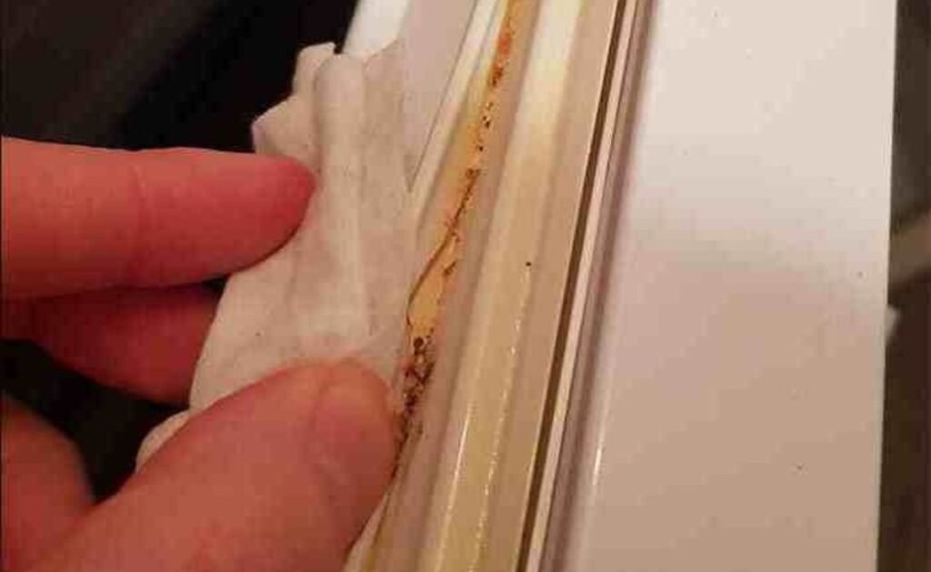 Door Seal Damage