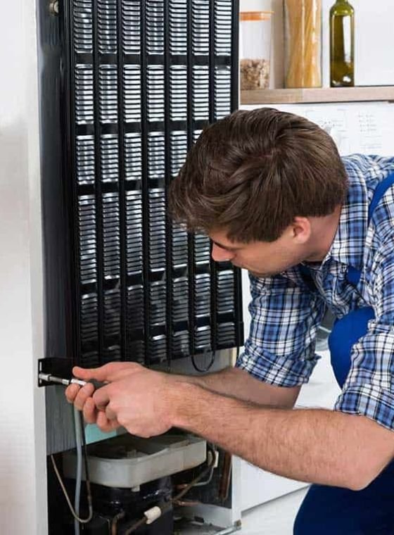 Expert fridge technician