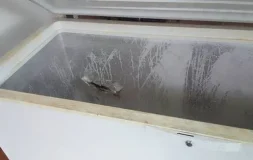 Freezer Door Not Sealing Properly​